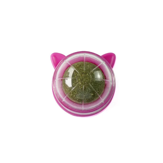 Catnip Licking Ball – Tasty, Healthy & Energizing Treat Toy