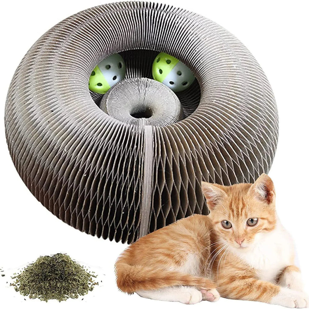Magic Round Cat Scratcher – 2-in-1 Claw Grinder & Ball Play Toy