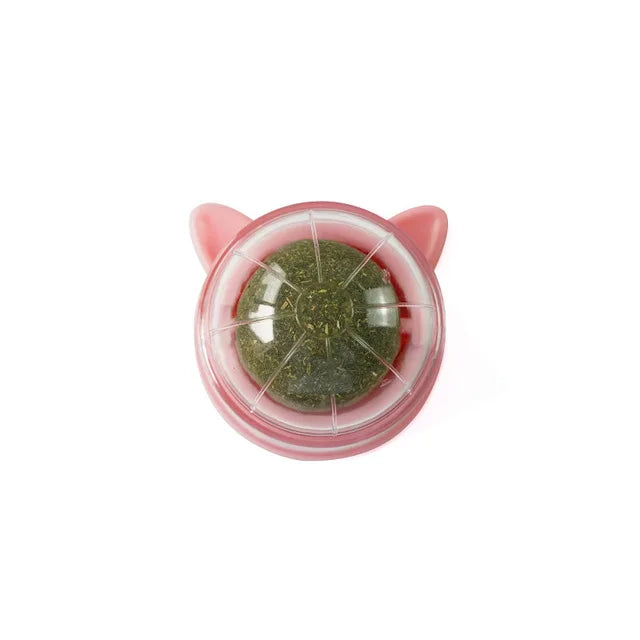 Catnip Licking Ball – Tasty, Healthy & Energizing Treat Toy