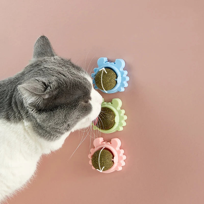 Catnip Licking Ball – Tasty, Healthy & Energizing Treat Toy