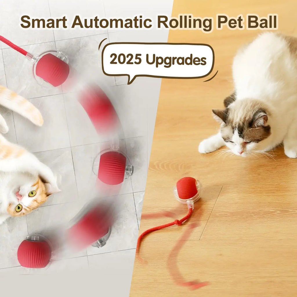 Smart Rolling Cat Ball – Automatic, Rechargeable & Fun!