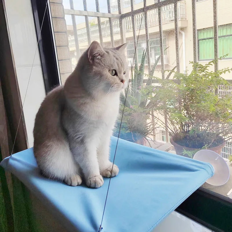 Window Cat Hammock – Cozy, Sturdy & Sun-Loving Perch