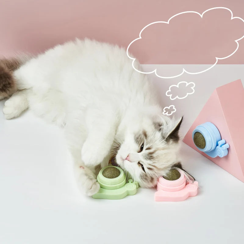 Catnip Licking Ball – Tasty, Healthy & Energizing Treat Toy