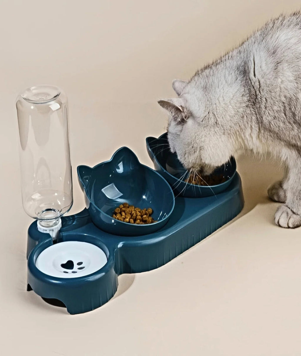 3-in-1 Cat Bowl Set – Tilted Food & Water Feeder with Gravity Bottle