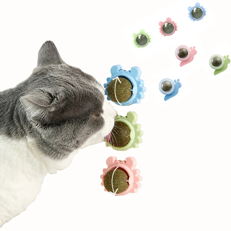Catnip Licking Ball – Tasty, Healthy & Energizing Treat Toy