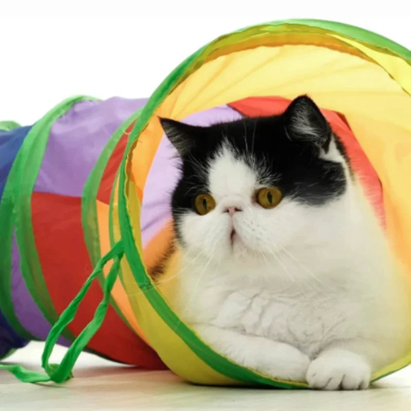 Collapsible Cat Tunnel – Fun, Foldable & Interactive Play Tube