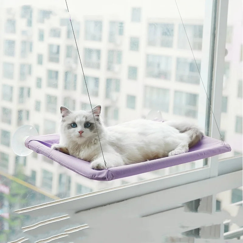 Window Cat Hammock – Cozy, Sturdy & Sun-Loving Perch