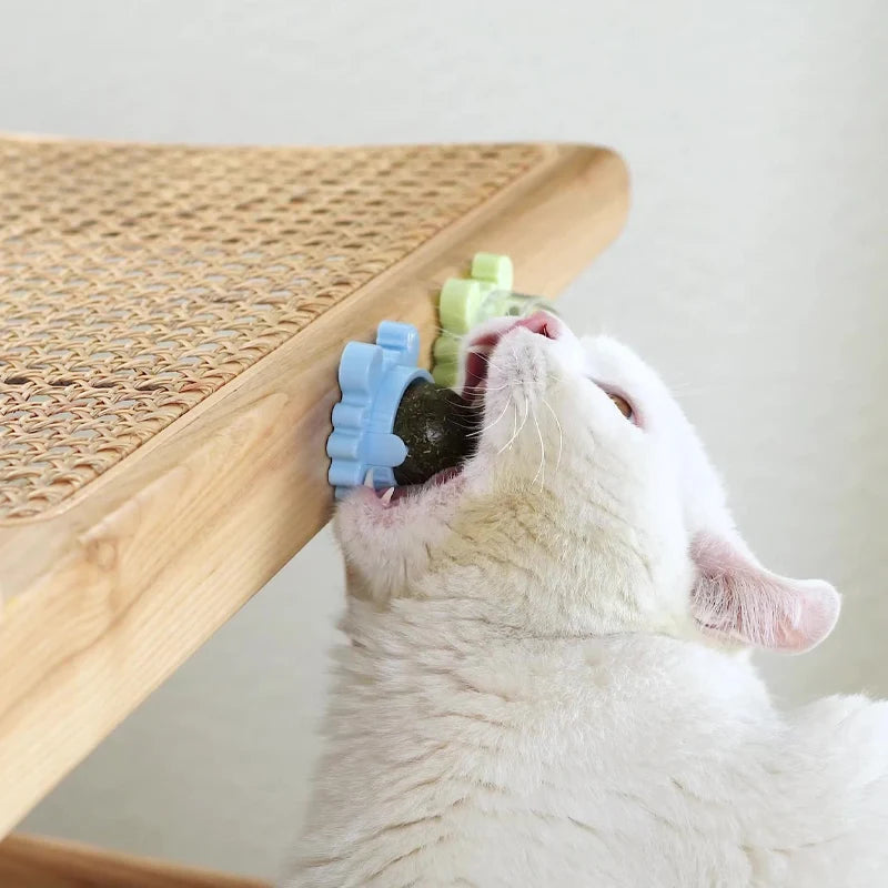 Catnip Licking Ball – Tasty, Healthy & Energizing Treat Toy