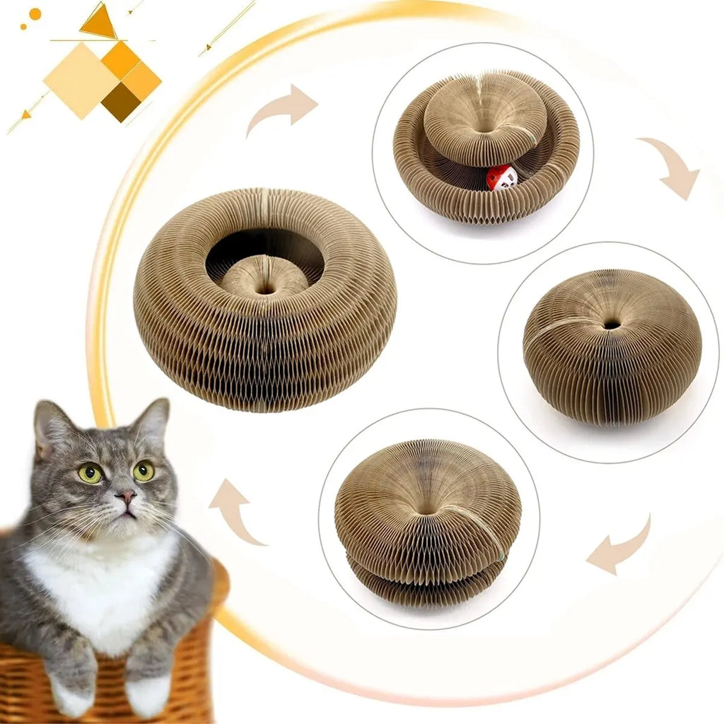 Magic Round Cat Scratcher – 2-in-1 Claw Grinder & Ball Play Toy